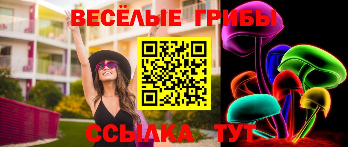 Галлюциногенные грибы Magic Shrooms  как найти закладки  Самара  Вход с VPN 